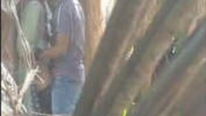 Indian couple's outdoor sexual encounter captured on video