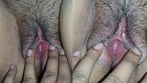 Indian wife's moist vagina gets pleasure from husband's oral and manual stimulation