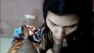 Vaginal penetration and oral sex videos compiled as a part of a series