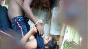 Audacious village lovers discovered engaging in sexual activity in a public setting