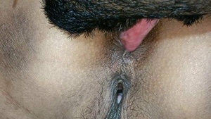 Riya Kee, an enticing Indian beauty, enjoys intense oral pleasure on her intimate areas