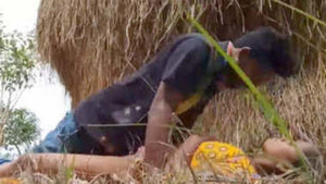 Desi couple gets caught in the fields in a steamy video