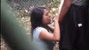 College student gets caught sucking dick in the park