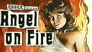 Triple X Movie House Trailers