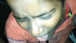 Hot Desi Wife Blowjob Vdo