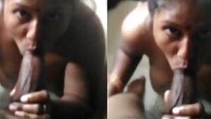 Sexy Maid Sucking House Owner Dick