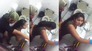 Desi couple caught on camera having sex on the toilet in XXX video