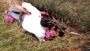 Village bhabi fucking with lover in the field