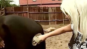 Sexy cowgirl blowing old man