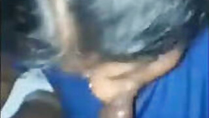 Desi wife sucking lover cock