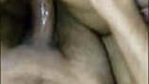 desi girl mrinal ridding lover dick hindi audio